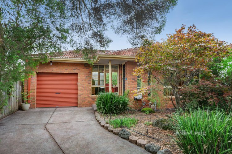 3 31 Glen Ebor Avenue Blackburn 3130
