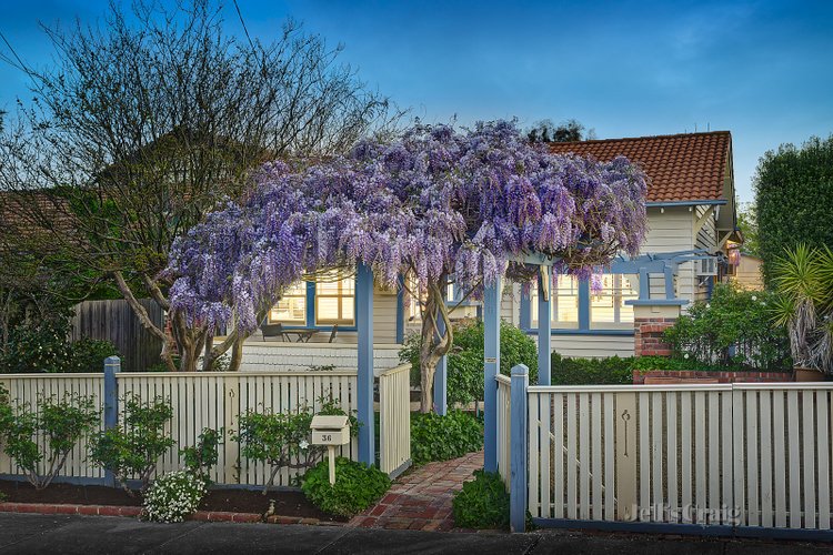 36 Landale Street Box Hill 3128