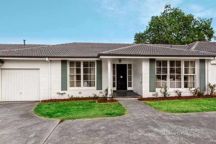 3/6 Mountain Grove Kew 3101
