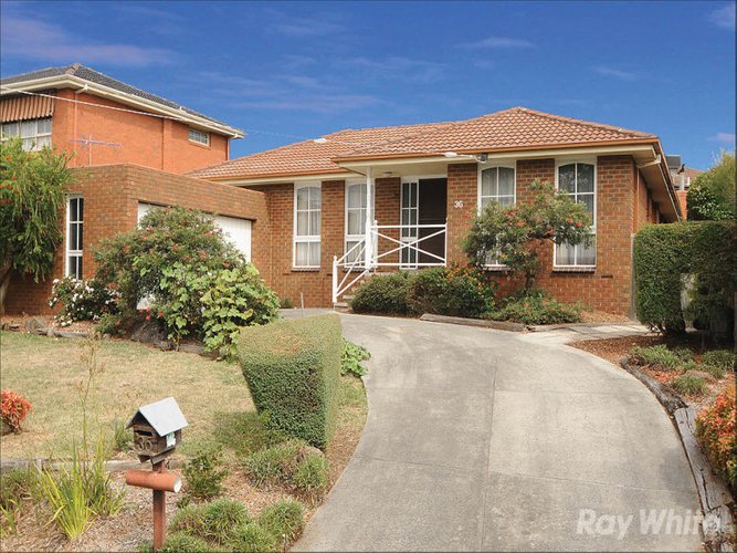 36 Shepherd Road Glen Waverley 3150