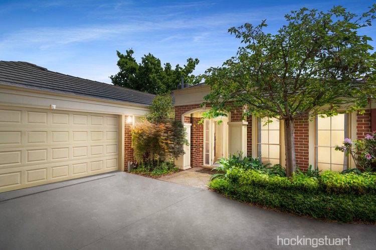 3 7 Beatrice Avenue Surrey Hills 3127