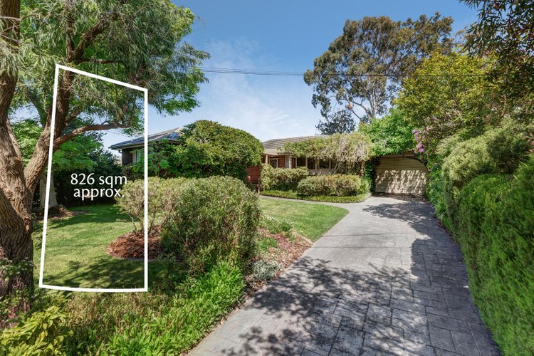 37 Grantley Drive Glen Waverley 3150