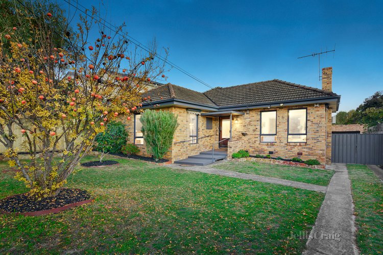 38 Pascoe Street Glen Iris 3146