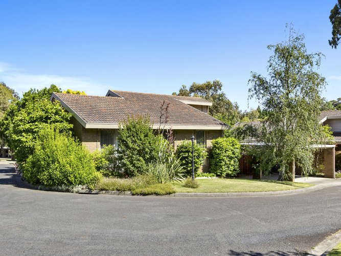 39 Boardman Close Box Hill South 3128