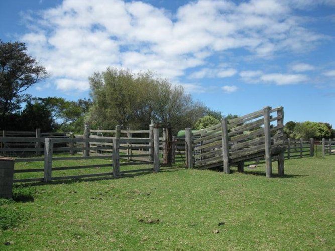 390 Paynesville Road, Bairnsdale