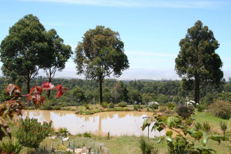 395 Back Corringle Road, Orbost