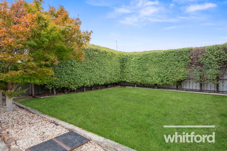 4 Trewheela Avenue, Manifold&nbsp;Heights