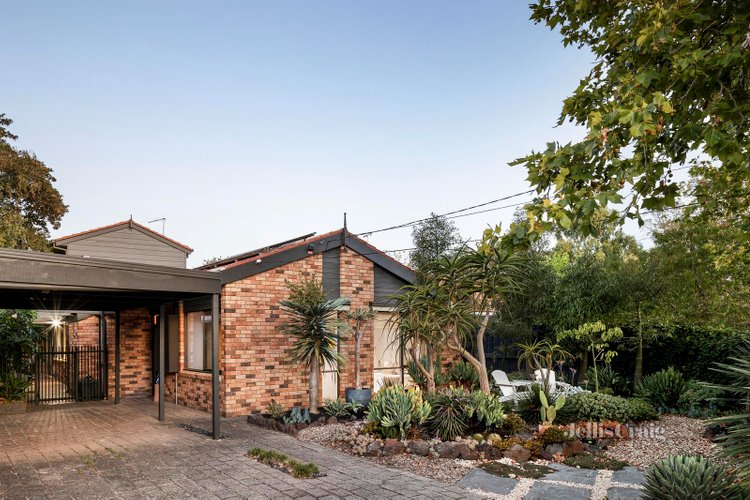 4 Vine Grove Carnegie 3163