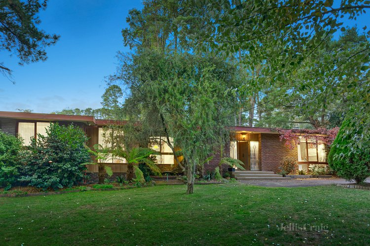 41-43 Elgin Crescent Park Orchards 3114