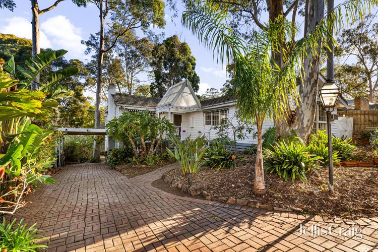 41 Aurisch Avenue Glen Waverley 3150