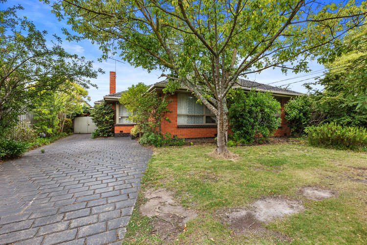 41 Cypress Avenue Glen Waverley 3150