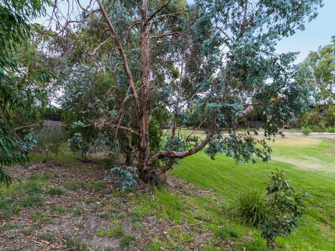 41 Dunkeith Avenue, Jan Juc