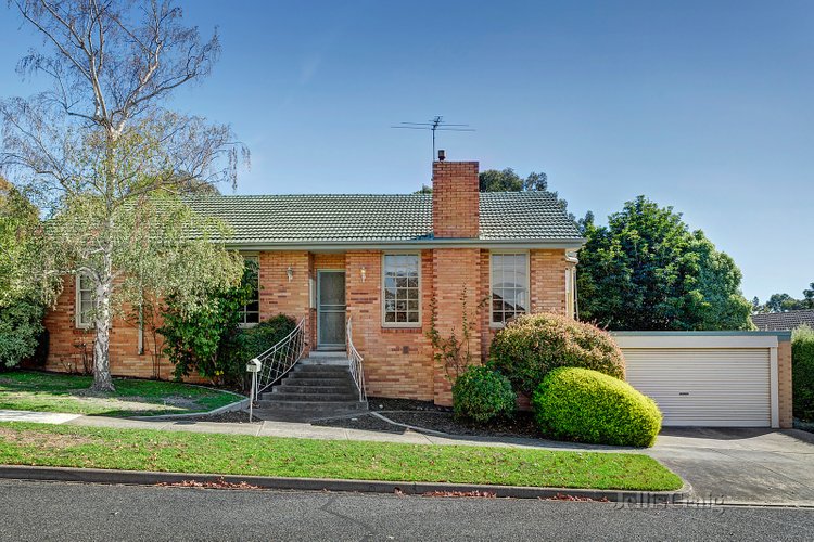 41 Williamson Road Mont Albert North 3129