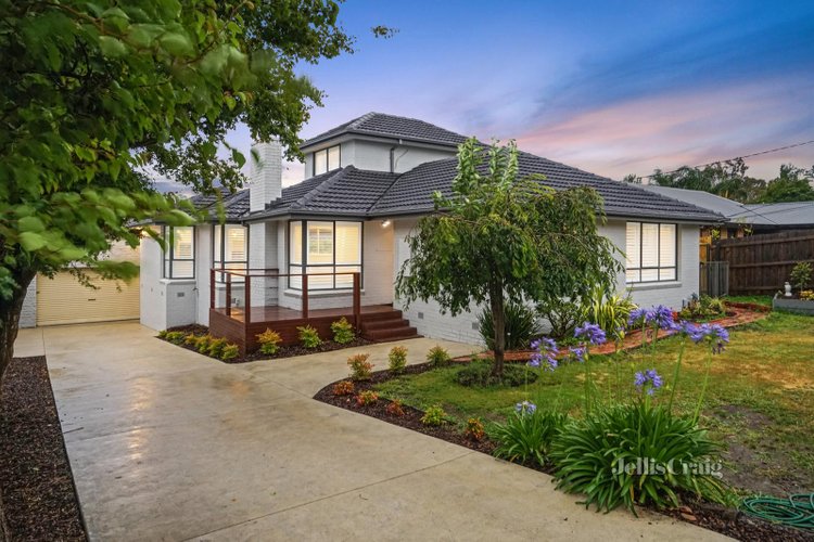 43 Lynden Grove Mount Waverley 3149