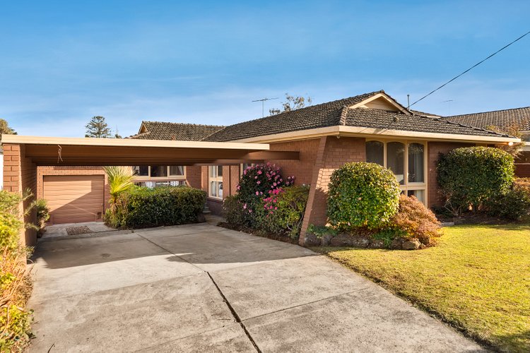 43 Orchard Street Glen Waverley 3150