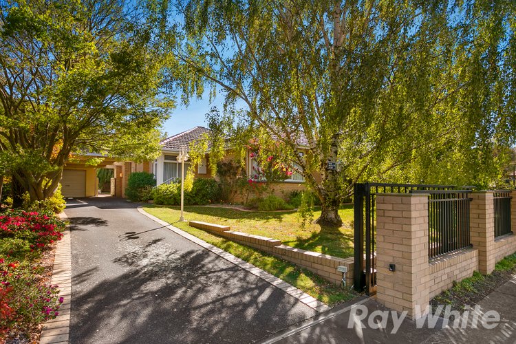 43 Ranfurlie Drive Glen Waverley 3150