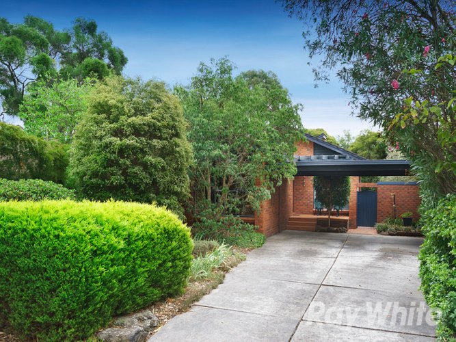43 York Street Glen Waverley 3150