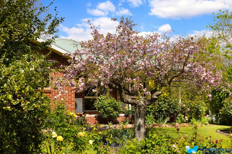 44 Clifton Terrace, Wy&nbsp;Yung