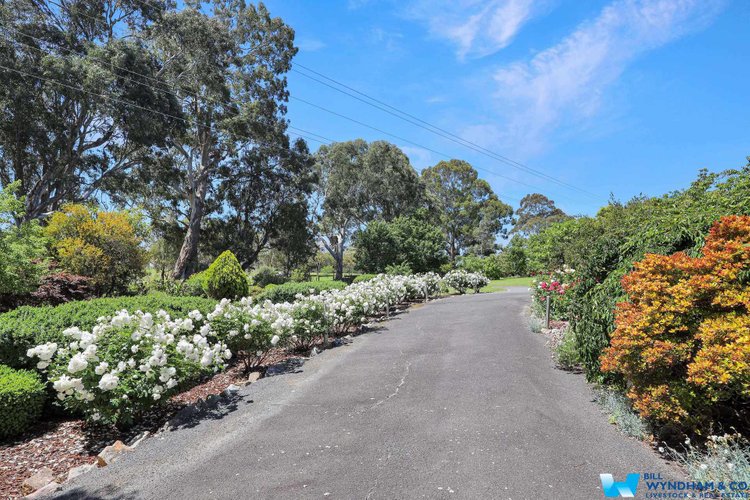 44 Clifton Terrace, Wy&nbsp;Yung