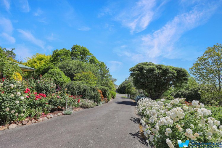 44 Clifton Terrace, Wy&nbsp;Yung