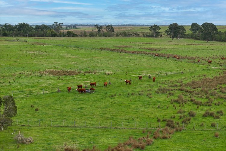 44A Giles Road, Meerlieu