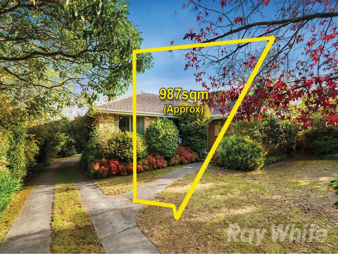 45 Myers Avenue Glen Waverley 3150