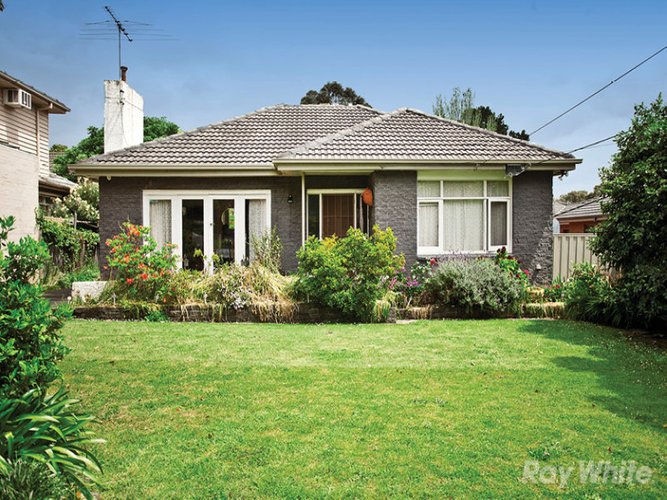 46 Larch Crescent Mount Waverley 3149