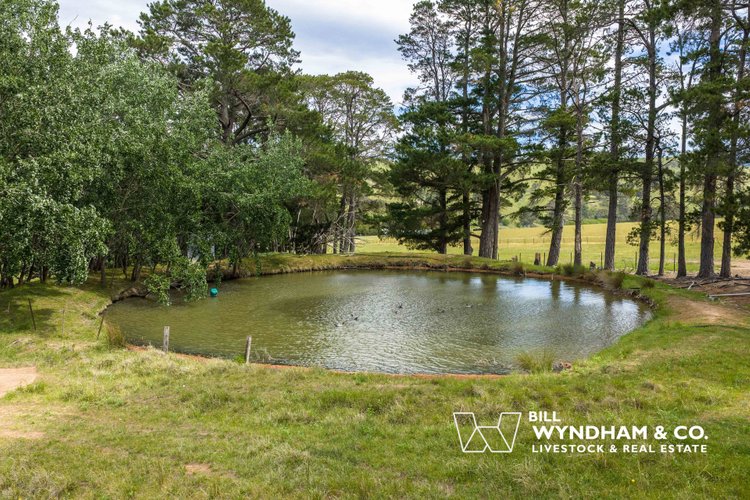 472 Little River Road, Ensay North