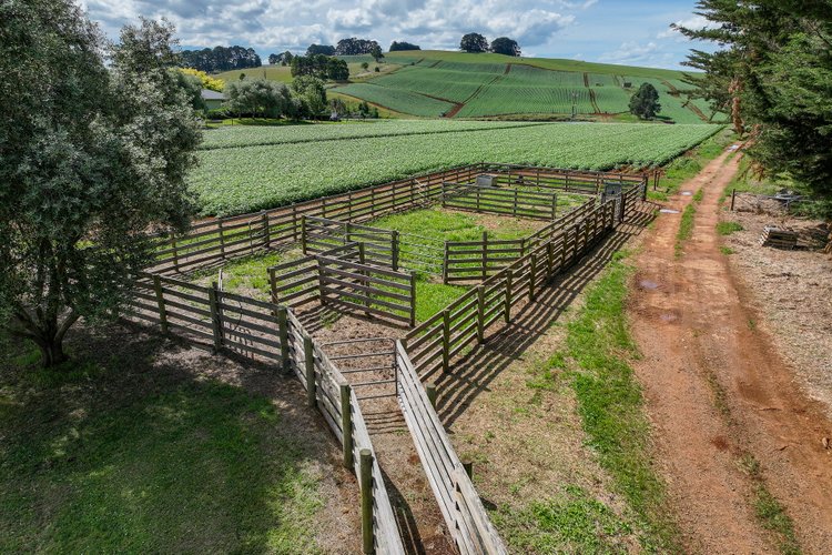 485 Trafalgar South Road, Thorpdale