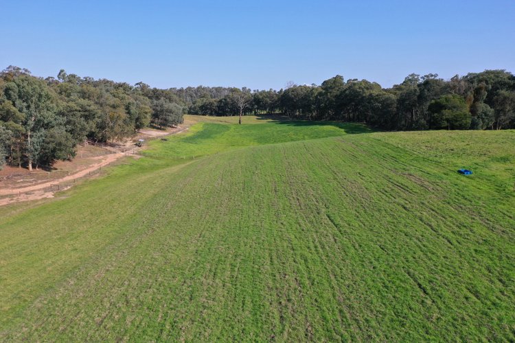 495 Waterholes Road, Clifton Creek