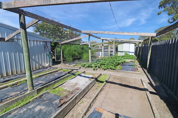 5 Cameron Street, Cann&nbsp;River