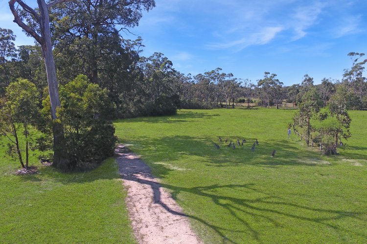 5 Cameron Street, Cann&nbsp;River