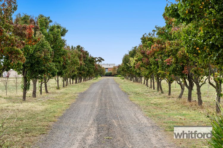 50 Daruma Way, Little River