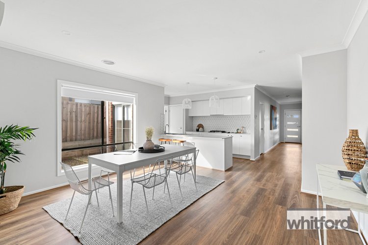 51 Stanley Avenue, Curlewis