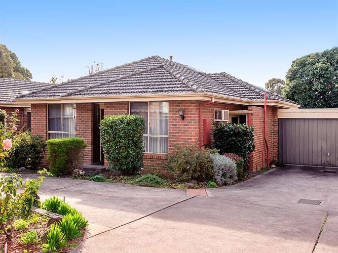 5 29 Blackburn Road Blackburn 3130