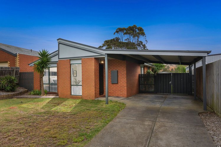 53 Dorothy Crescent Mornington 3931