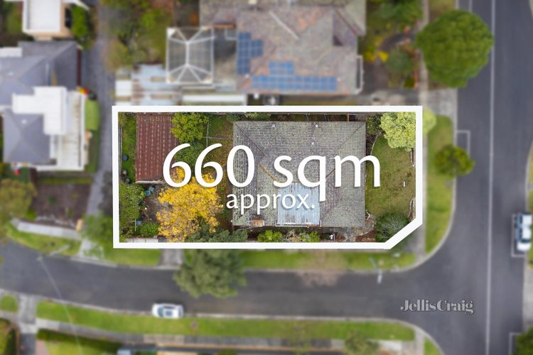 53 Essex Road Mount Waverley 3149