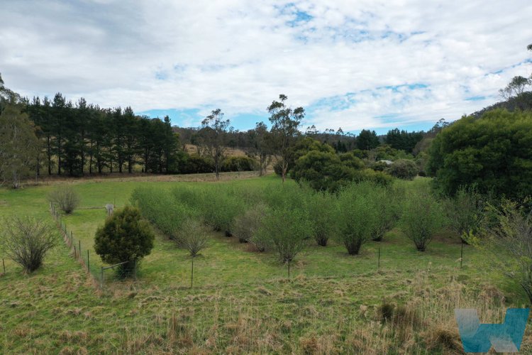 5350 Bairnsdale-Dargo Road, Cobbannah