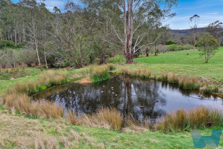 5350 Bairnsdale-Dargo Road, Cobbannah