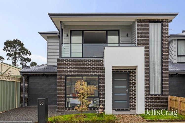 56 Essex Street Pascoe Vale 3044