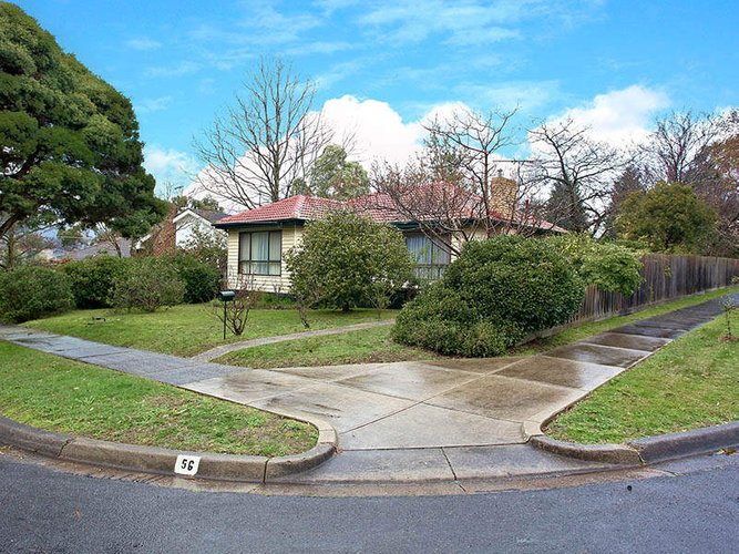 56 Homer Avenue Croydon South 3136