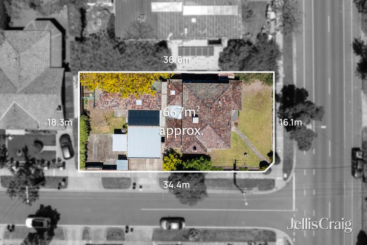 58 Thomas Street Brighton East 3187