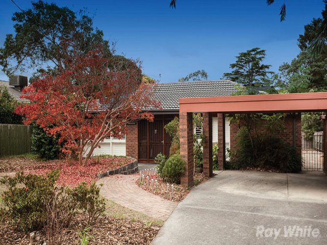 59 Petronella Avenue Wheelers Hill 3150