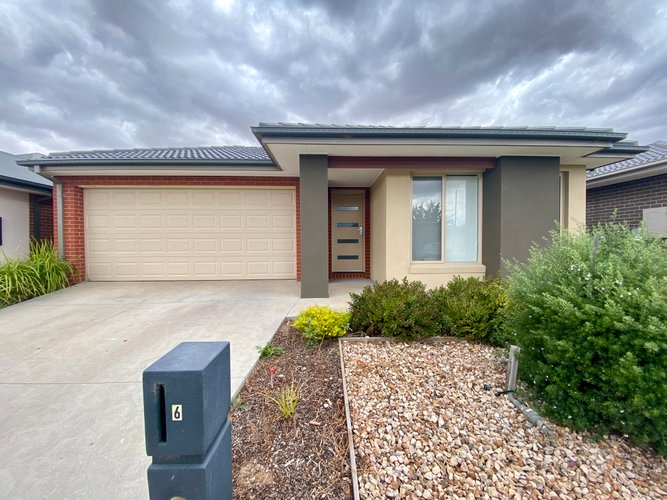6 Callistemon Circuit Lara 3212