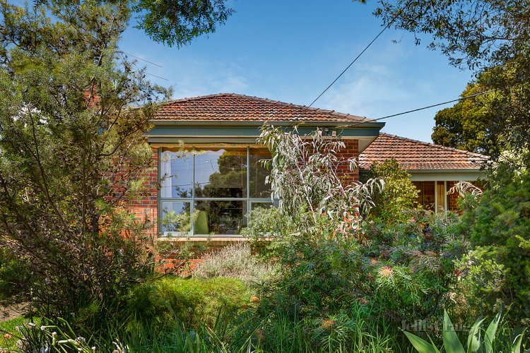 6 Corlett Street Mont Albert North 3129