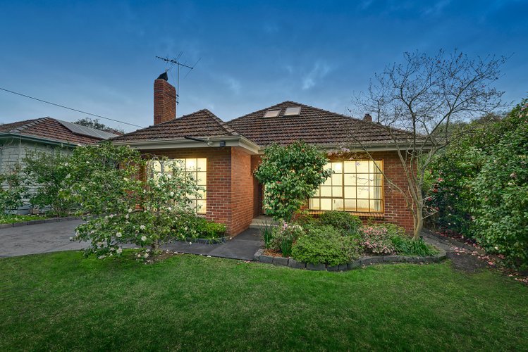 6 Francis Street Blackburn 3130