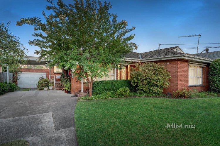 6 Laura Grove Mount Waverley 3149