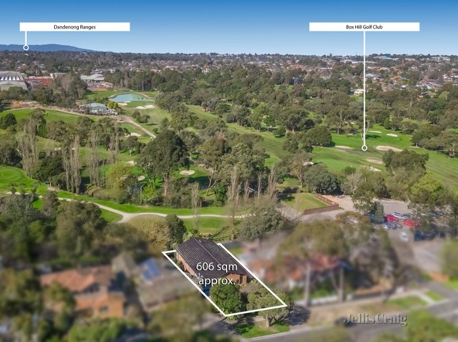 6 Sycamore Street Box Hill South 3128