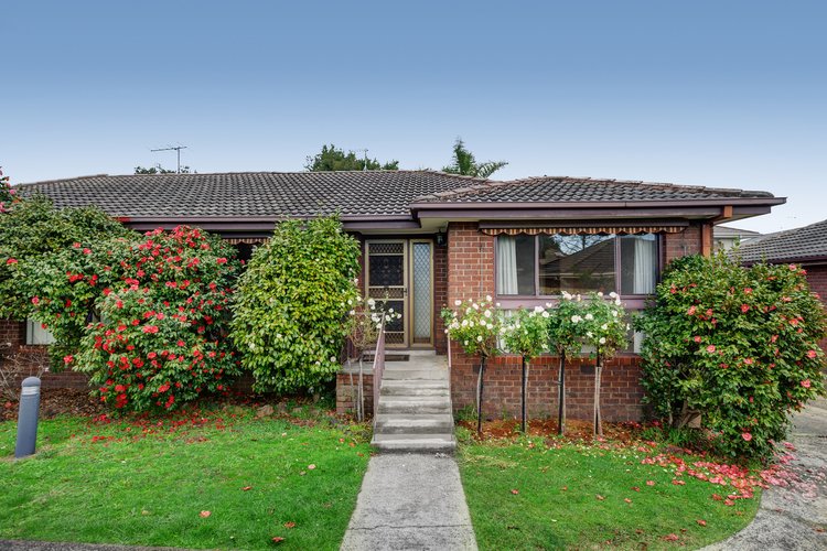 6 38 Mount Pleasant Road Nunawading 3131