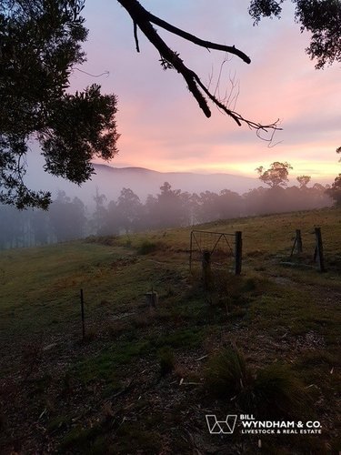 64-72 Staggs Creek Road, Combienbar